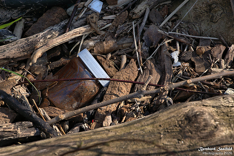 Bernhard Saalfeld - DSC01531 -1